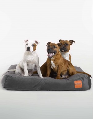 Housse de remplacement pour coussin pour chien Clébard-Concept - entretien facile, anti-odeur, anti-bactérien