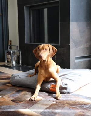 Coussin pour chien élégant - Linen - Medium Grey