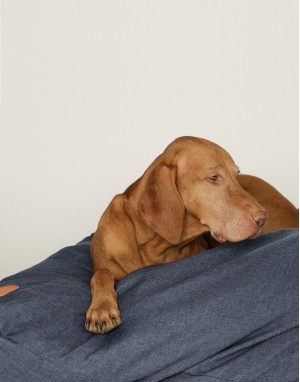 meilleur coussin pour chien  au monde