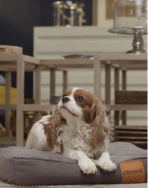 Coussin pour chien luxueux - Velvet - Gris Taupe