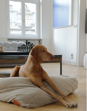 Coussin pour chien moelleux et orthopédique - Smooth