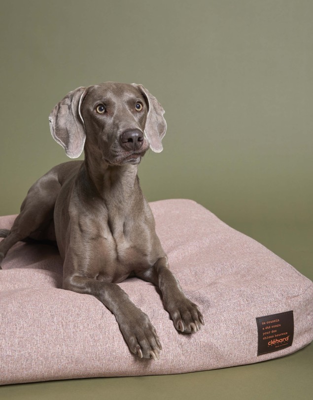Coussin pour chien - Tweed - Vieux Rose