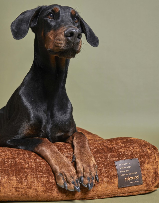 coussin pour chien régulateur thermique