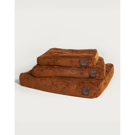 coussin pour chien haut de gamme, 100% naturel, respectueux de l'odorat du chien, assainissant