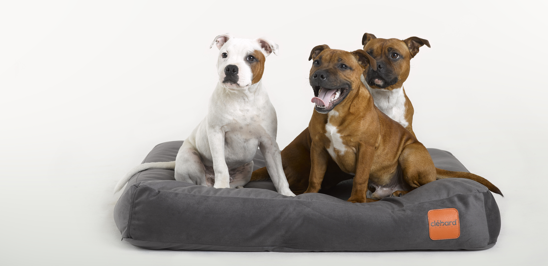 Best Eco-friendly Luxury Dog Bed 