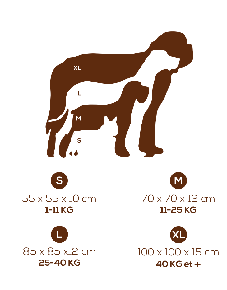 tailles coussin pour chien