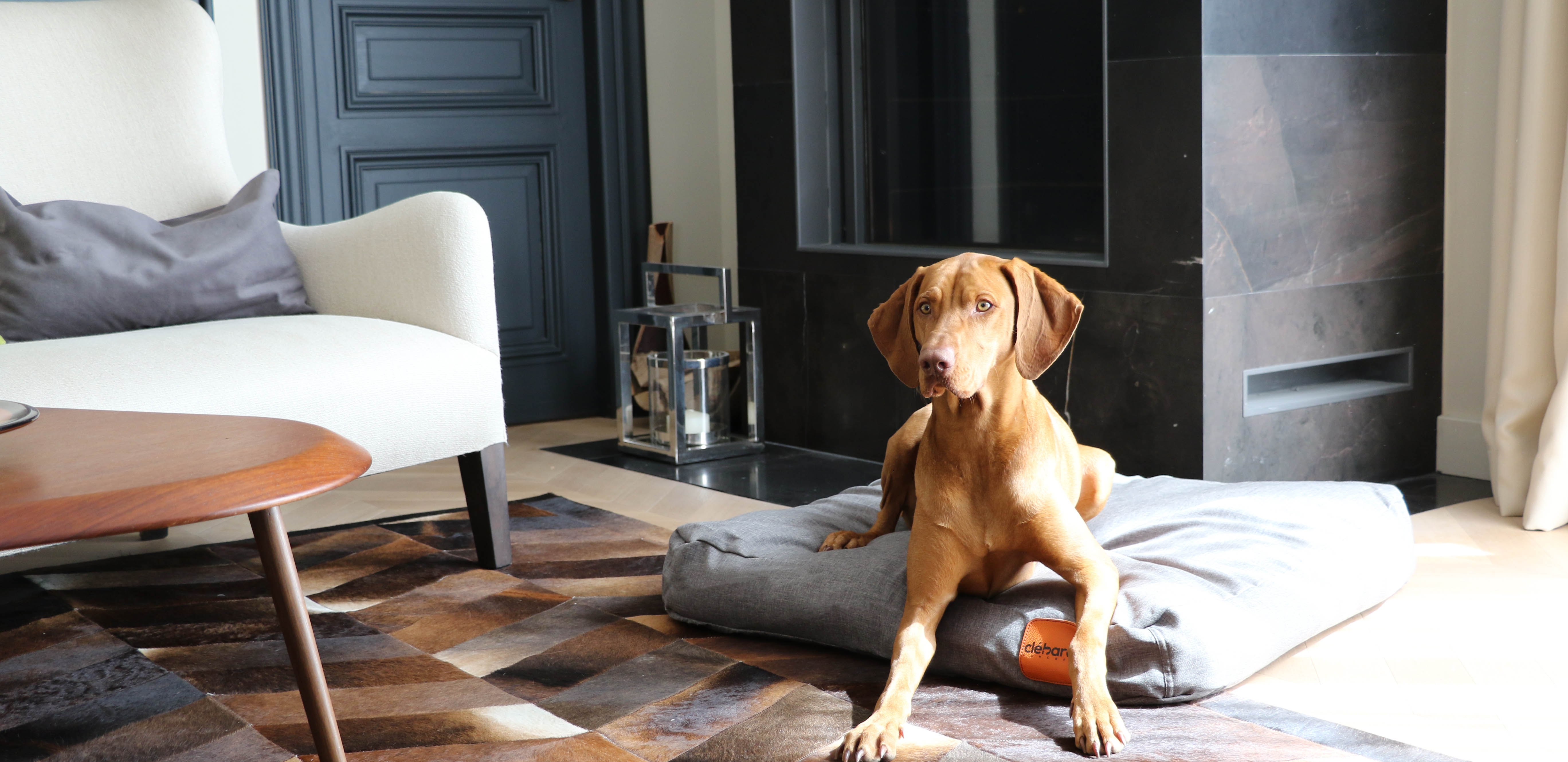 Dog's beg - Linen Collection