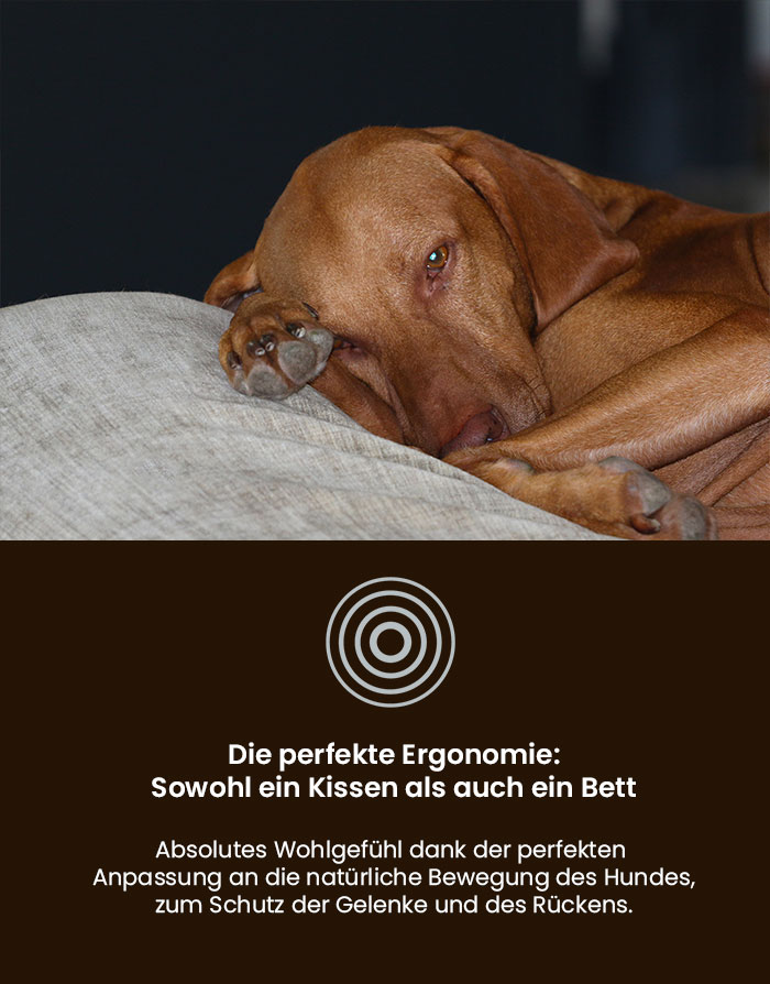 Orthopädisches Hundekissen, ergonomisch und bequem