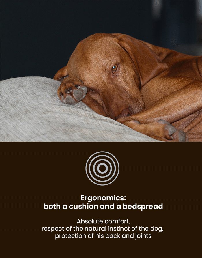 ergonomic and orthopedic dog cushion