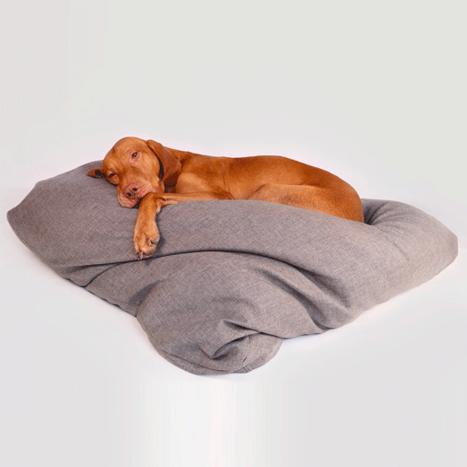coussin bordure