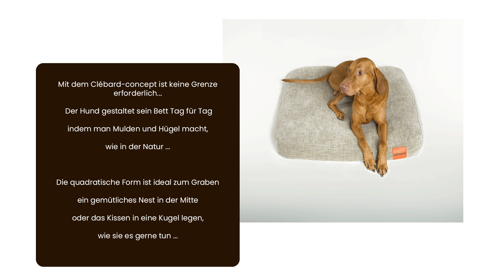 Hundekissen ideale Form ohne Rand