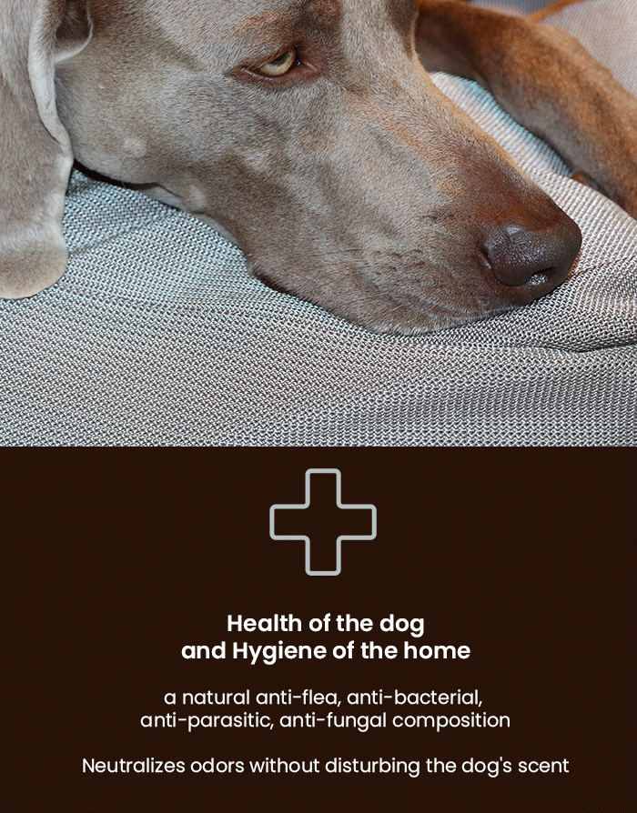 dog\'s cushion hypoallergenic, anti-flea, anti-bacteria, anti-odor