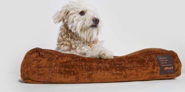 The Natural Thermal Regulation Power of Clébard Concept Dog Cushions